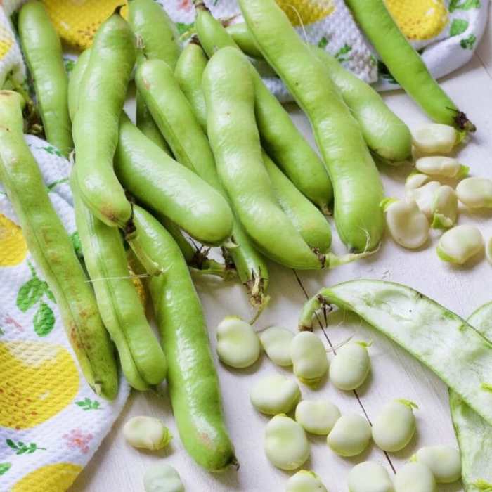 How to cook broad beans indian style