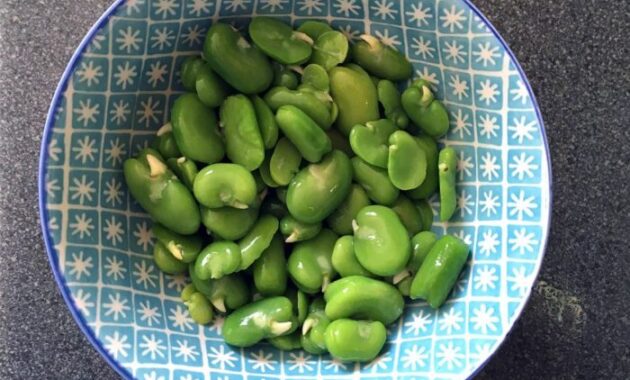 How to Cook Broad Beans Indian Style A Flavorful Guide