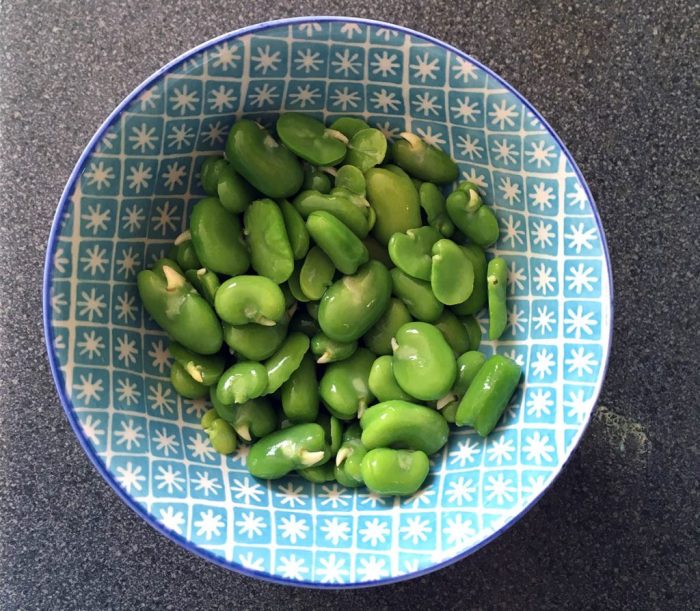 How to cook broad beans indian style