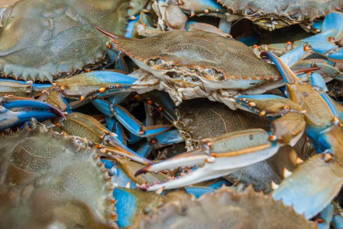 How to cook live crab jamaican style